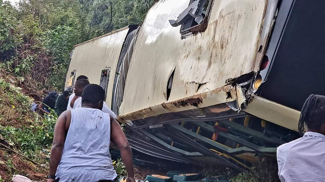 FB_IMG_1653645706687