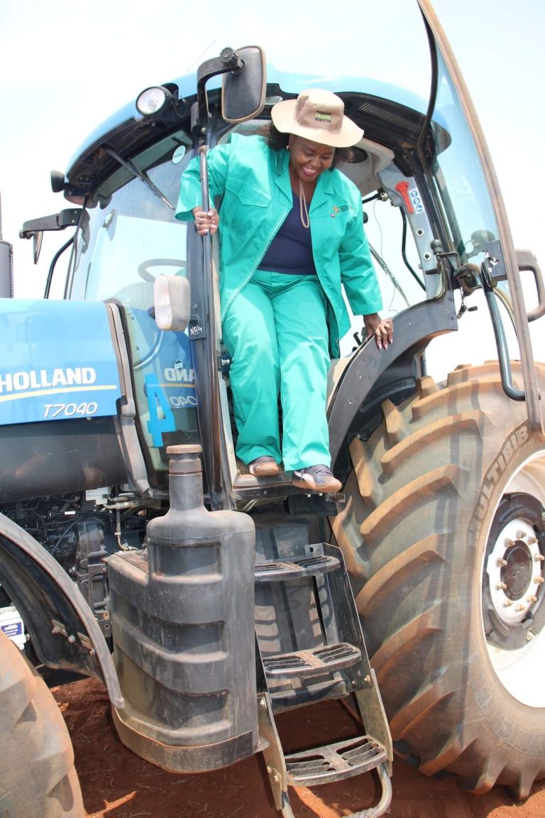 FB_IMG_1665727075543