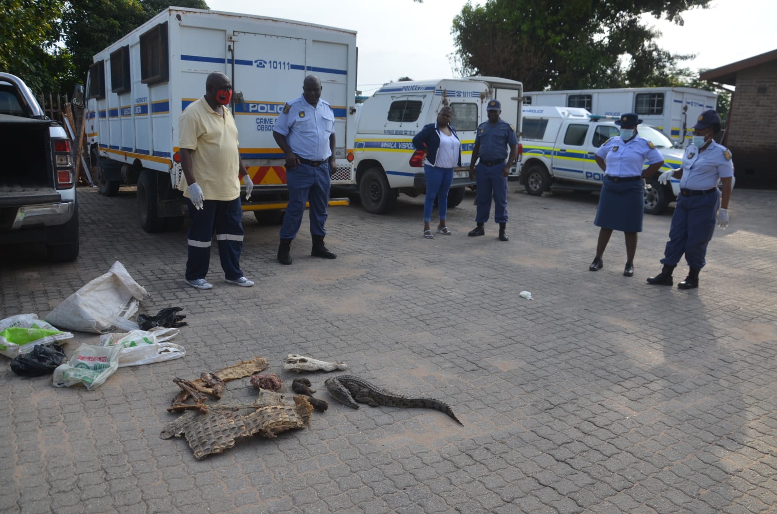 IMG-20221229-WA0008(2)