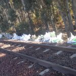 IMG-20230511-WA0006