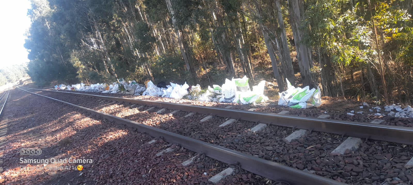 IMG-20230511-WA0006