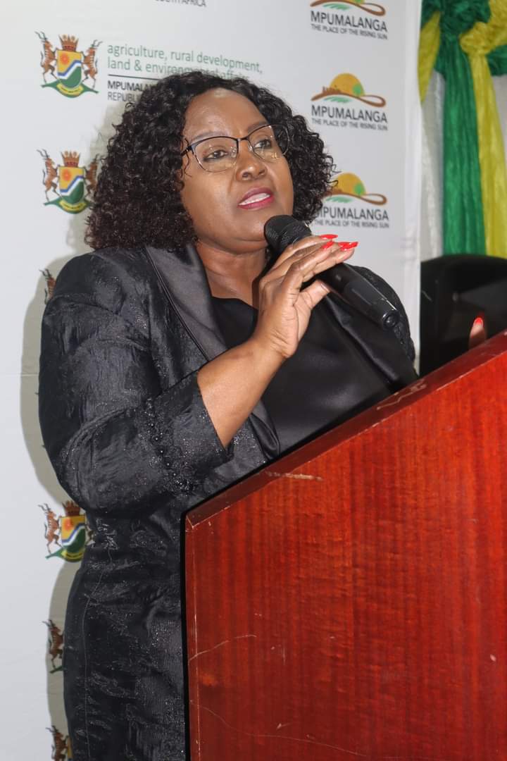 FB_IMG_1688939839823