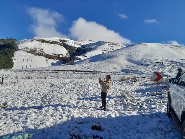 FB_IMG_1689099481549