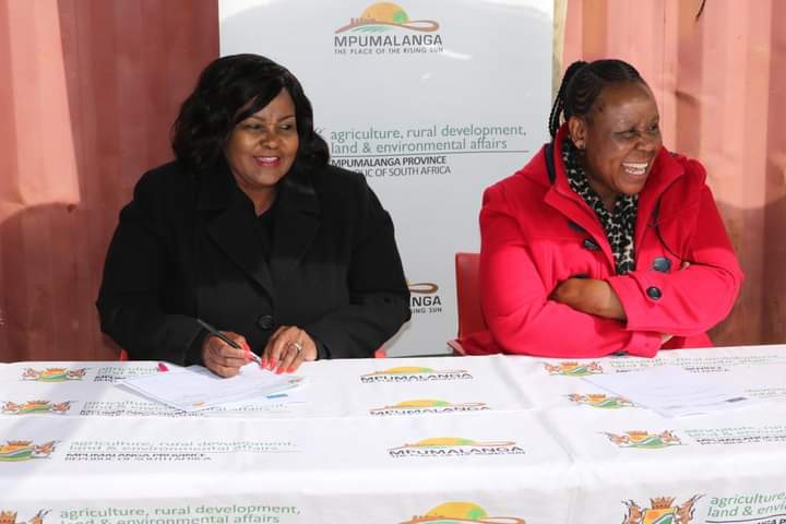 FB_IMG_1689510170171