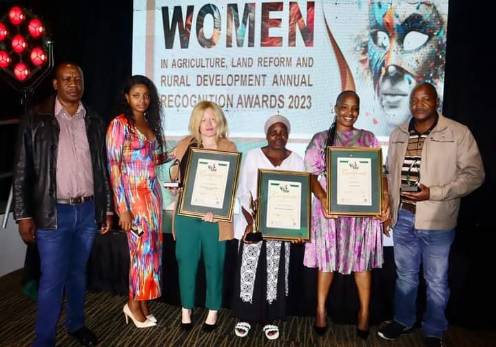 FB_IMG_1699358718388