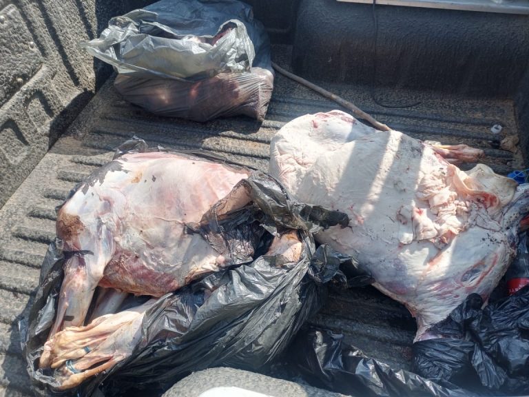 5394701f-f8e2-49a5-98fb-94e16287f317