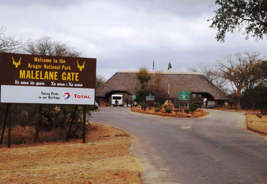 knp