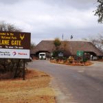 knp
