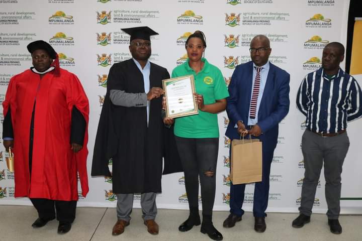 FB_IMG_1721235775976