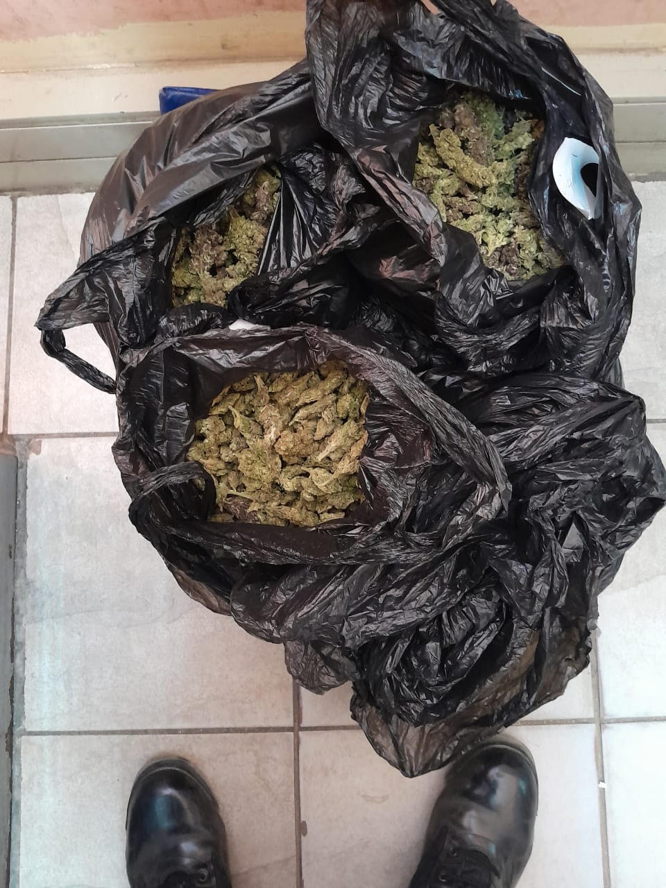 Caption ; A plastic bag full of dagga recovered during Operation Shanela