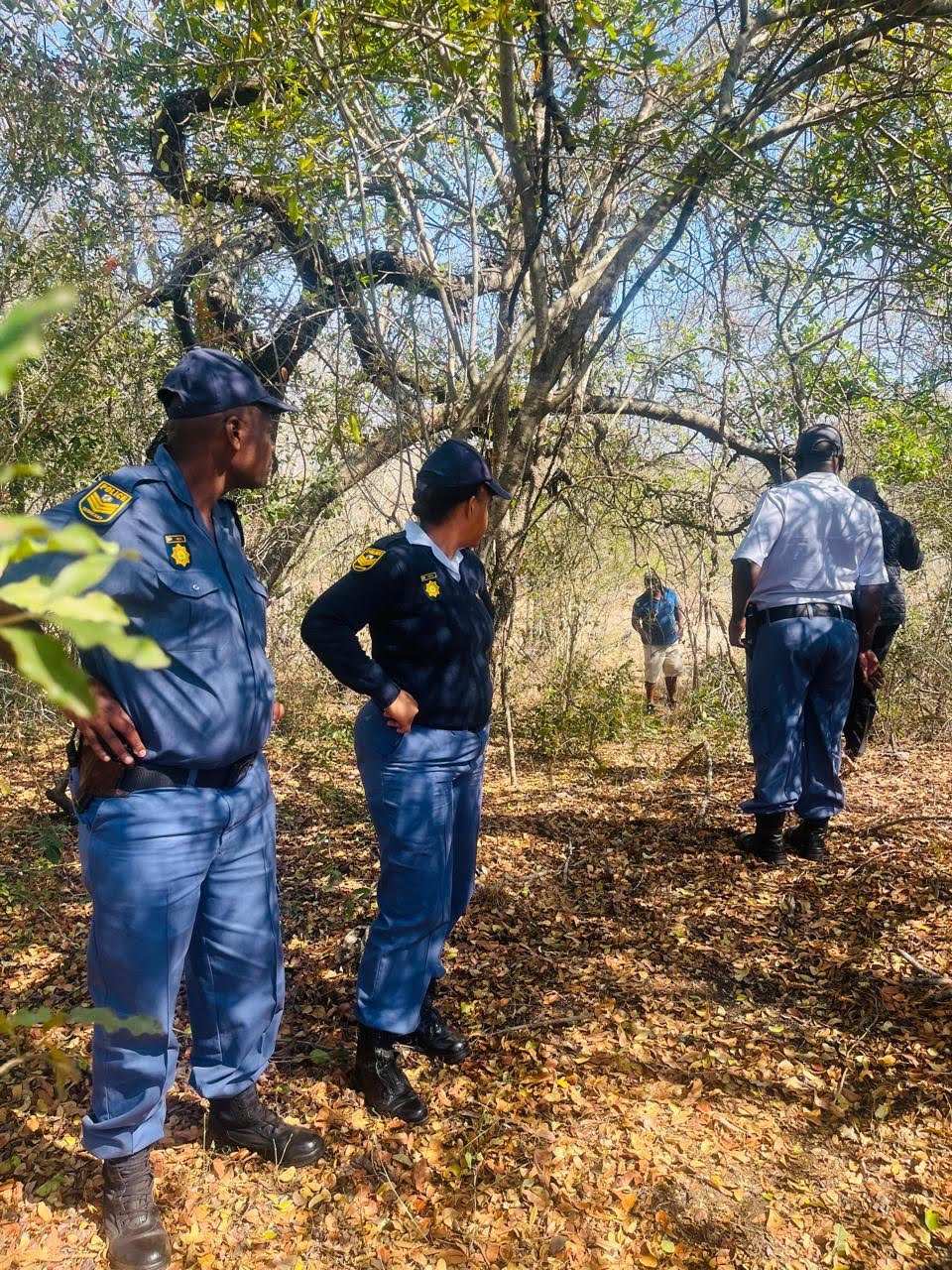 Caption; Police members searching for the rape suspect in the bushes