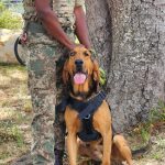 c0f14fae-50a3-4d1b-9eaa-1fea28d0eb0d