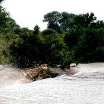 4b-Flooding-incidents-at-Kruger-National-Park-on-Saturday-12-January-2025_1147x693