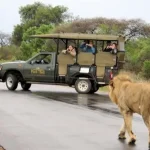 kruger-park-safaris-1