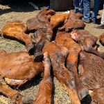 9a893560-4ca3-483f-831e-aa097ff4a43f