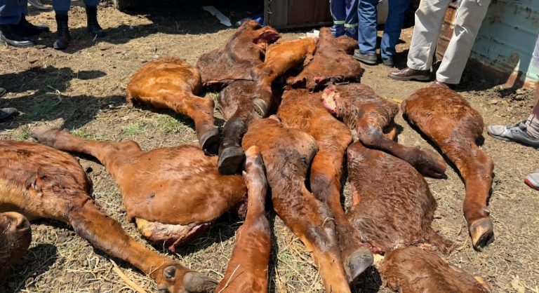 9a893560-4ca3-483f-831e-aa097ff4a43f