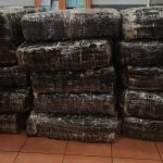 4fc63977-509c-41f3-96ad-aa5c3d92a0d4