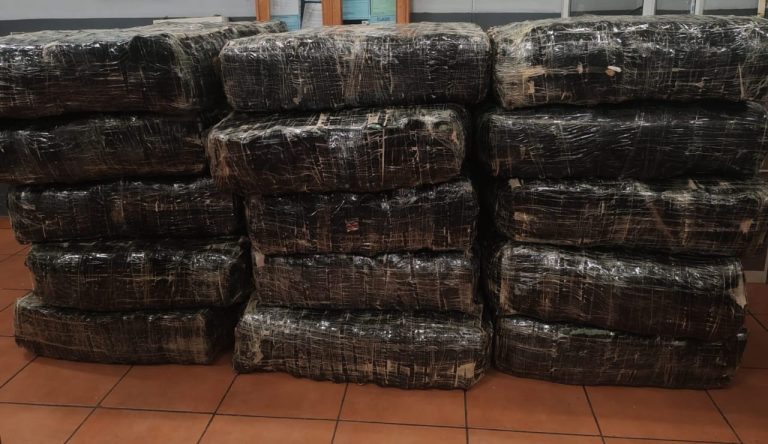 4fc63977-509c-41f3-96ad-aa5c3d92a0d4